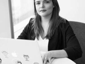 SDLC Corp Web Development