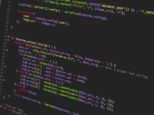 Custom Web Development Service