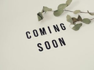 Voice Assistant Integration