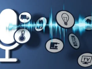 Voice Assistant Integration (Hourly Rate)