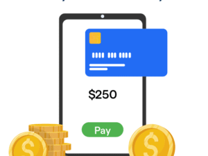 WooCommerce Payment Gateway Integration