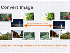Bulk Image Format Conversion JPG PNG WebP
