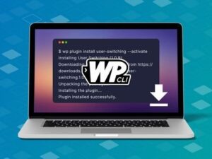 WordPress Plugin Installation