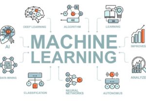 Custom Machine Learning Models (Hourly Rate)
