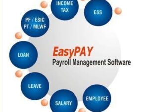 Custom Payroll Processing Software